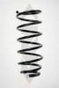 SPIDAN 56744 Coil Spring